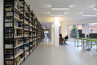 剥核桃的工具是什么相关长尾关键词有哪些