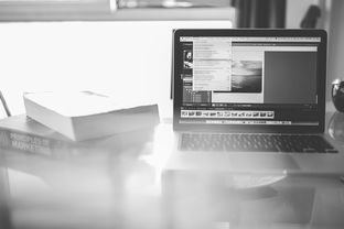 营销工具组合运用论文百度长尾关键词有哪些