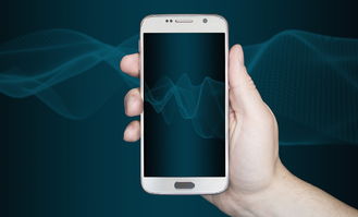 广东移动网站设计百度长尾关键词有哪些