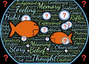 在线教育网站系统相关长尾关键词有哪些