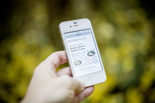 如何查询一个人名下所有欠款金额