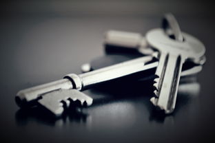 浴血凤凰工具包长尾关键词集合