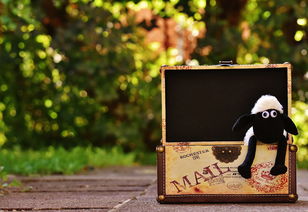 国画工具盒自制画框相关长尾关键词有哪些 国画工具盒自制画框相关长尾关键词有哪些