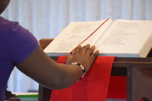 数学语文英语学习网站长尾关键词集合 数学语文英语学习网站长尾关键词集合