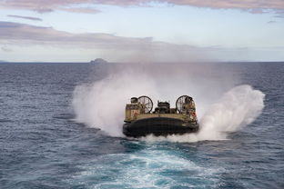 捕鱼工具免费下载游戏全部长尾关键词 捕鱼工具免费下载游戏全部长尾关键词