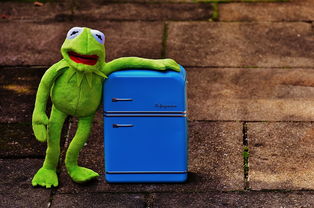 冰箱清洗工具怎么清洗干净全部长尾关键词 冰箱清洗工具怎么清洗干净全部长尾关键词