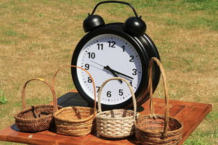 有没有磨牙的工具长尾关键词集合 有没有磨牙的工具长尾关键词集合