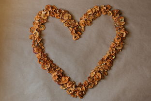 桌面照片小工具下载长尾关键词集合