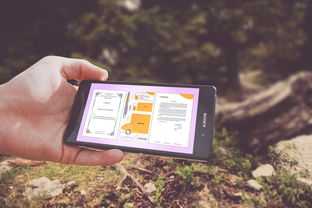 oem管理工具百度长尾关键词有哪些