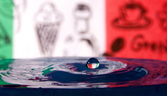 圆形玻璃鱼缸清洗工具图片百度长尾关键词有哪些 圆形玻璃鱼缸清洗工具图片百度长尾关键词有哪些