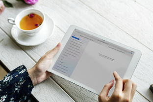 料理工具推荐知乎相关长尾关键词有哪些