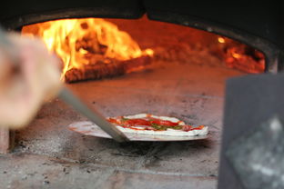 野营烤肉用什么工具烤相关长尾关键词有哪些