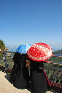 焕彩桌面下载视频网站全部长尾关键词