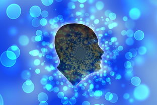 如何增加怀孕的成功率知乎