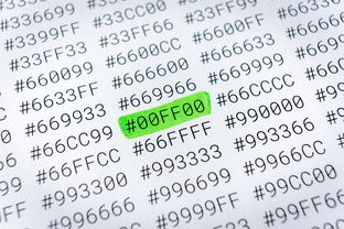 刷qq钻网站全部长尾关键词 刷qq钻网站全部长尾关键词