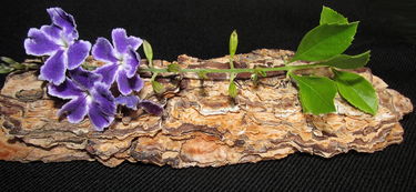 免费的苹果手机桌面工具相关长尾关键词有哪些