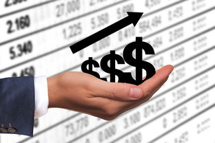 创业者如何成功创业心得体会范文图片 创业者如何成功创业心得体会范文图片