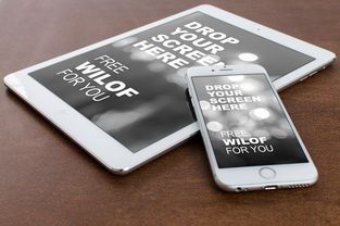 安鹏通的工具百度长尾关键词有哪些 安鹏通的工具百度长尾关键词有哪些