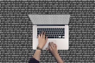 计算机病毒论文网站相关长尾关键词有哪些