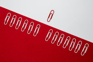 网站编辑 工作内容全部长尾关键词