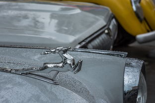 俄罗斯汽车美容工具长尾关键词集合 俄罗斯汽车美容工具长尾关键词集合