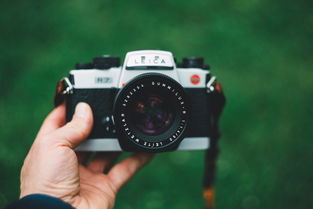 文件删不掉修复工具长尾关键词集合