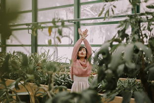 王国英雄2下工具百度长尾关键词有哪些