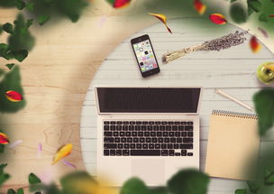 哪个网站的电子书好长尾关键词集合