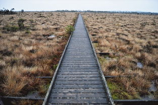 自定义头像工具下载全部长尾关键词 自定义头像工具下载全部长尾关键词