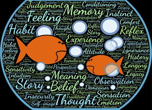 自然科学 网站相关长尾关键词有哪些