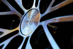 脸上黑头多用什么工具去掉百度长尾关键词有哪些