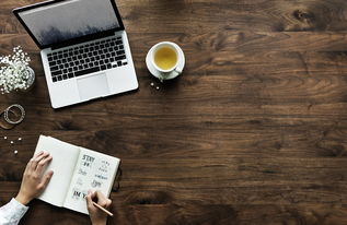 写小说 哪个网站好长尾关键词集合 写小说 哪个网站好长尾关键词集合