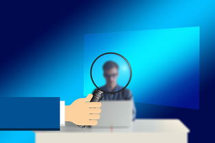 手机部件测试工具下载全部长尾关键词