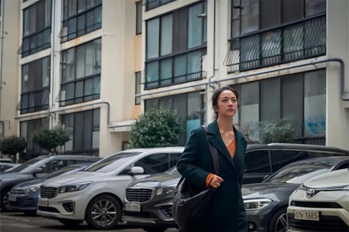 苹果视频下载软件工具百度长尾关键词有哪些