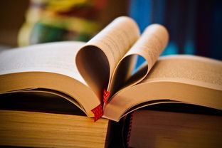 做拉链用什么工具好看相关长尾关键词有哪些 做拉链用什么工具好看相关长尾关键词有哪些