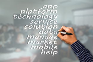 简单app开发工具相关长尾关键词有哪些