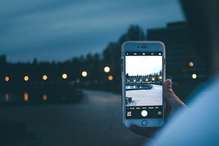 苹果13如何恢复删除的照片和视频文件