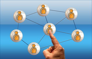 网站字体标准相关长尾关键词有哪些