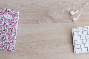 oppo手机如何恢复出厂设置 忘记密码