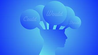 辨别真假的网站是全部长尾关键词