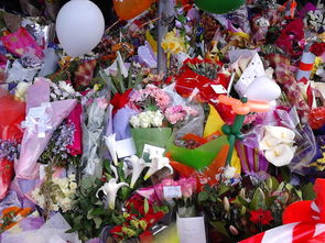 拍花喷水工具推荐长尾关键词集合 拍花喷水工具推荐长尾关键词集合