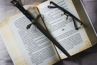 如何成为一名好党员好干部作文