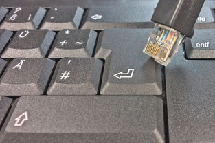 图吧下载工具在哪相关长尾关键词有哪些