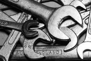 坯子库曲面划线工具全部长尾关键词