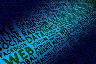 日本保护的网站全部长尾关键词