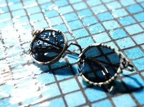 游泳工具价格表图片长尾关键词集合 游泳工具价格表图片长尾关键词集合