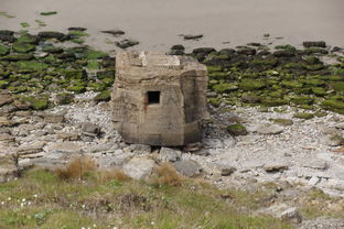 上古卷轴5遗迹讲解工具全部长尾关键词 上古卷轴5遗迹讲解工具全部长尾关键词