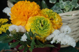 叶片当插花工具用全部长尾关键词