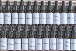 模型工具分类有哪些全部长尾关键词