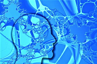 手机科学上wang工具长尾关键词集合